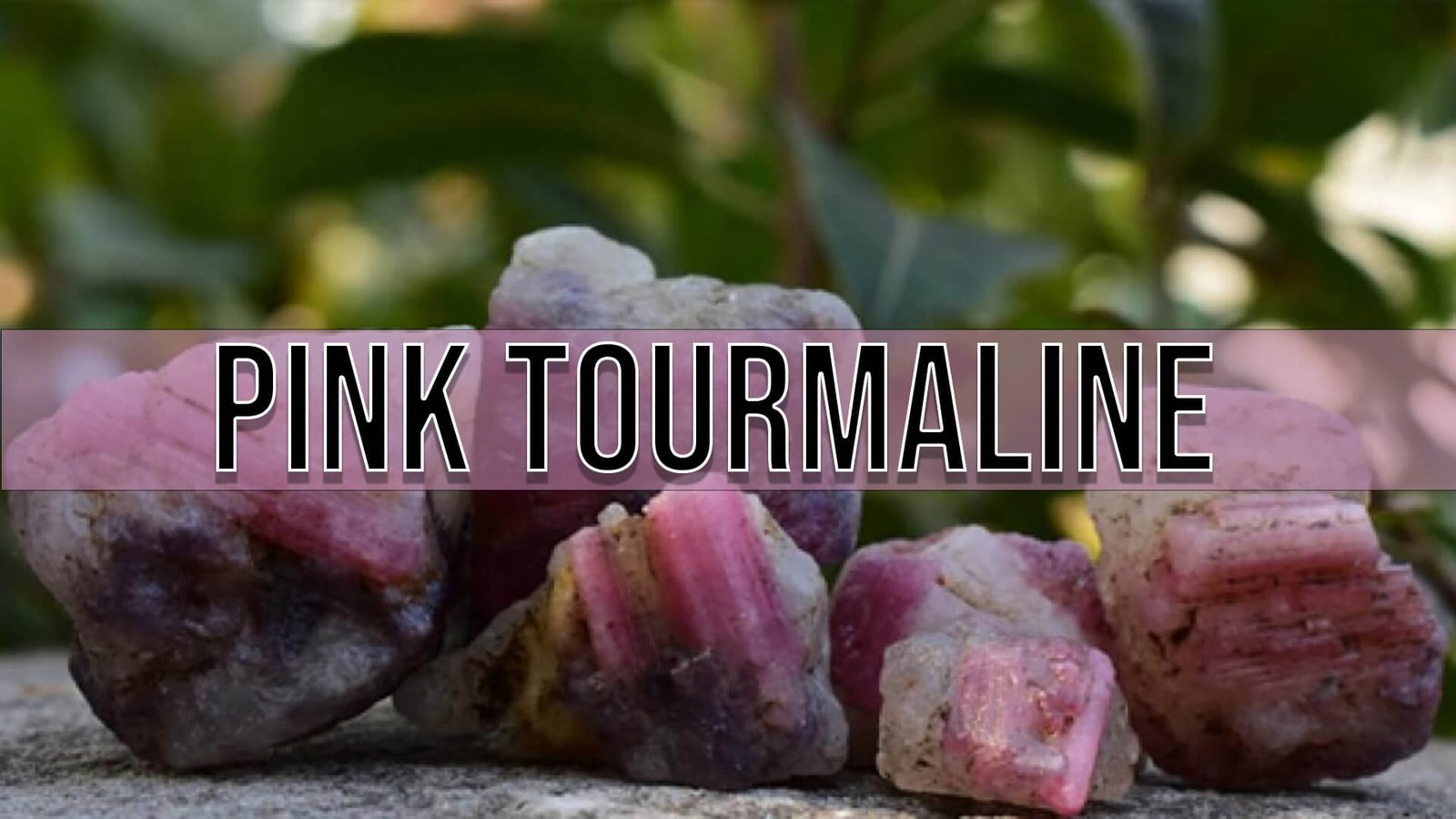 Pink Tourmaline